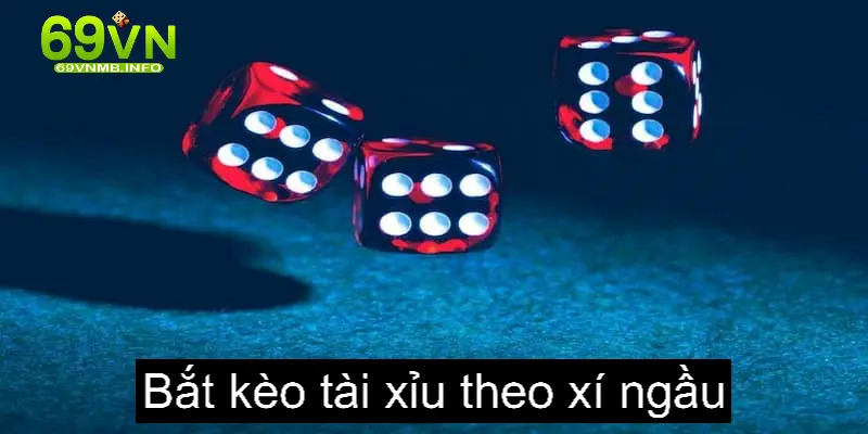 Tính xác suất chính là một trong những phương pháp bắt kèo tài xỉu theo xí ngầu hiệu quả mà hội viên nên biết